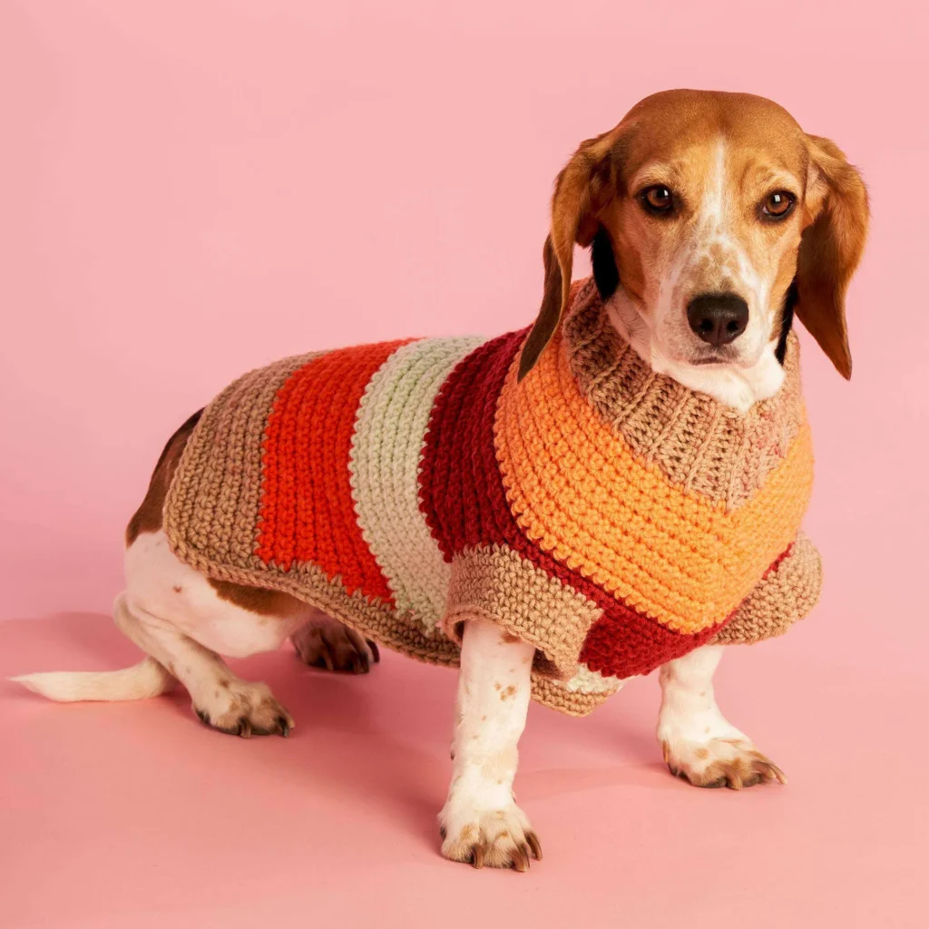 How To Crochet A Dog Sweater